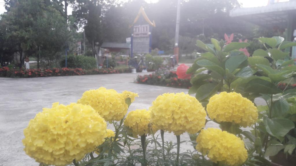 拜县帕拉米旅馆酒店 外观 照片